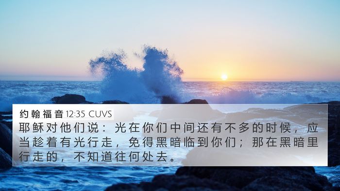 约 翰 福 音 12:35 CUVS Bible Verse Image