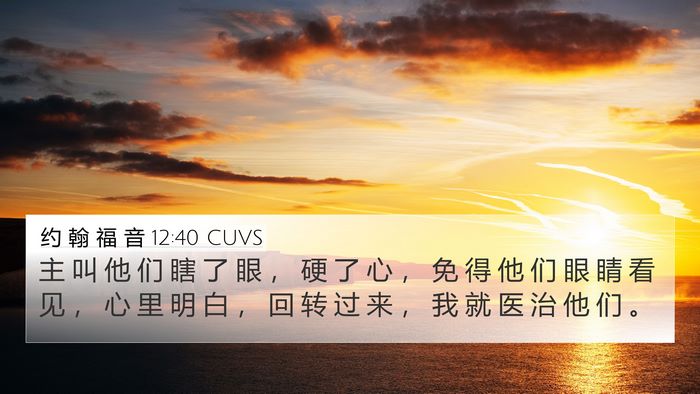 约 翰 福 音 12:40 CUVS Bible Verse Image