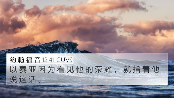 约 翰 福 音 12:41 CUVS Bible Verse Image