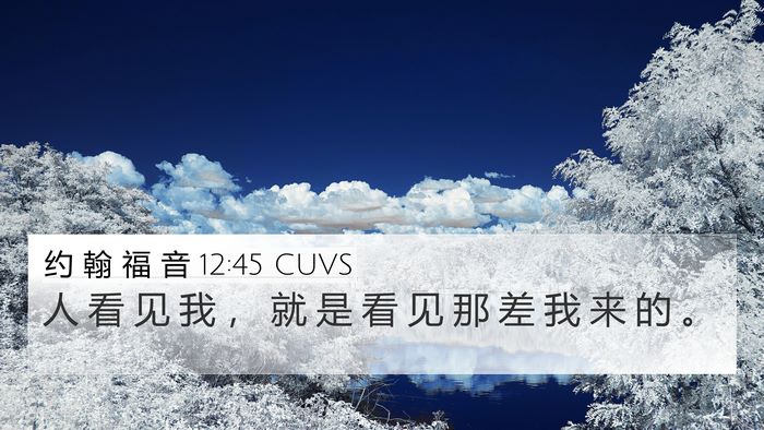 约 翰 福 音 12:45 CUVS Bible Verse Image
