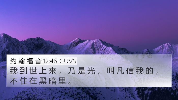 约 翰 福 音 12:46 CUVS Bible Verse Image