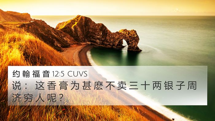 约 翰 福 音 12:5 CUVS Bible Verse Image