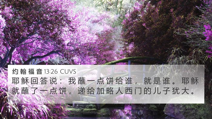 约 翰 福 音 13:26 CUVS Bible Verse Image