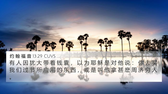 约 翰 福 音 13:29 CUVS Bible Verse Image