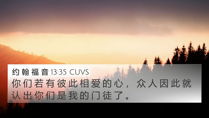 约 翰 福 音 13:35 CUVS Bible Verse Image