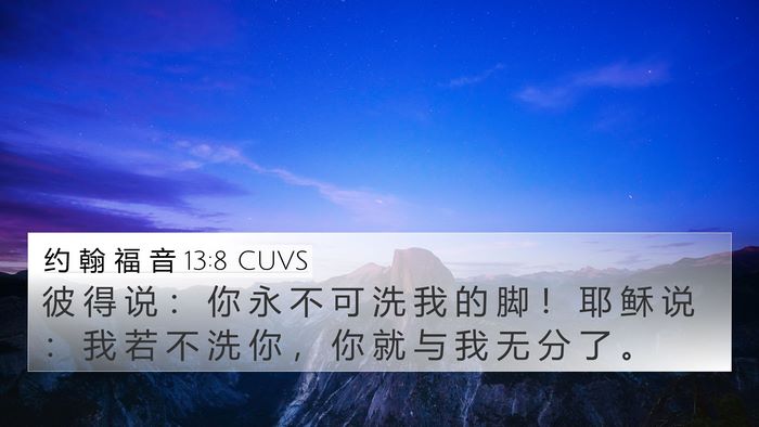 约 翰 福 音 13:8 CUVS Bible Verse Image