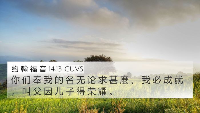 约 翰 福 音 14:13 CUVS Bible Verse Image