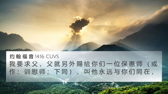 约 翰 福 音 14:16 CUVS Bible Verse Image