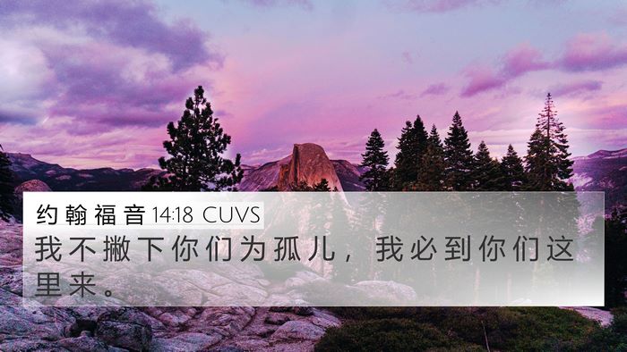 约 翰 福 音 14:18 CUVS Bible Verse Image
