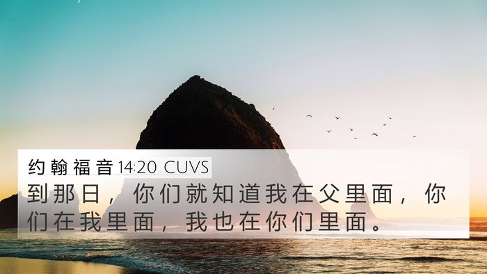 约 翰 福 音 14:20 CUVS Bible Verse Image