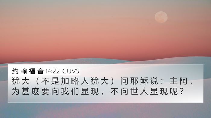 约 翰 福 音 14:22 CUVS Bible Verse Image