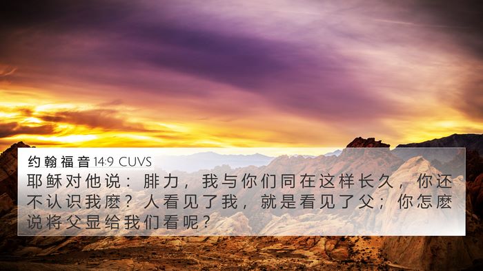 约 翰 福 音 14:9 CUVS Bible Verse Image