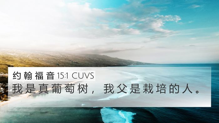 约 翰 福 音 15:1 CUVS Bible Verse Image