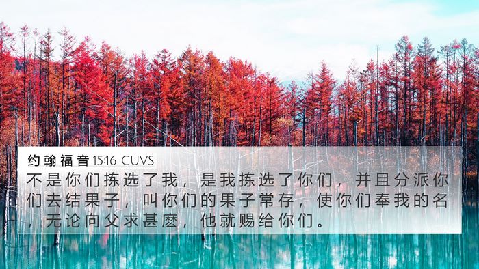 约 翰 福 音 15:16 CUVS Bible Verse Image