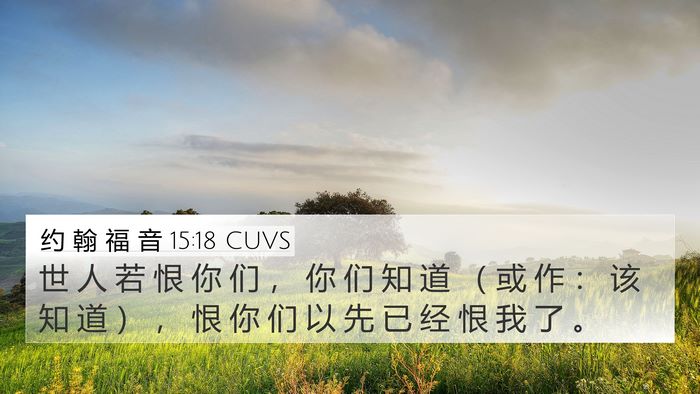 约 翰 福 音 15:18 CUVS Bible Verse Image