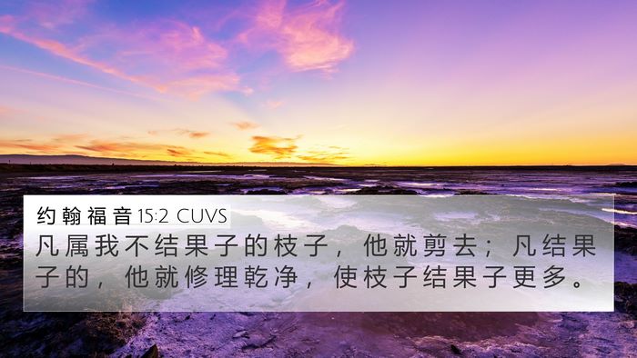 约 翰 福 音 15:2 CUVS Bible Verse Image