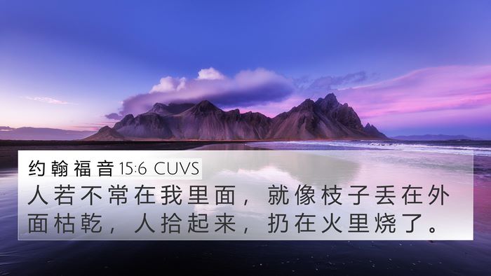 约 翰 福 音 15:6 CUVS Bible Verse Image