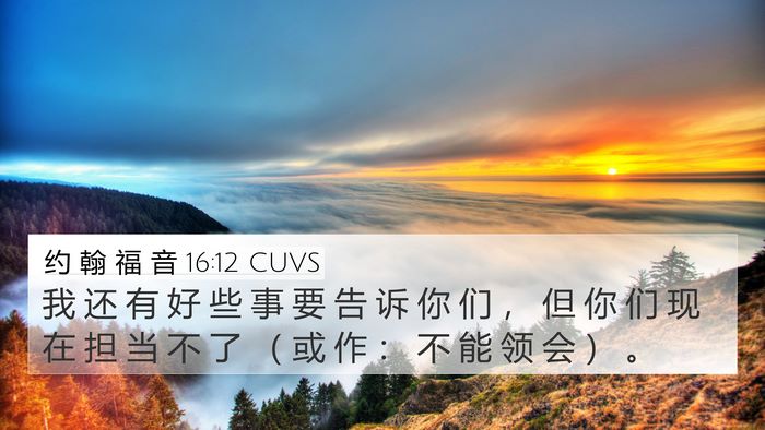 约 翰 福 音 16:12 CUVS Bible Verse Image