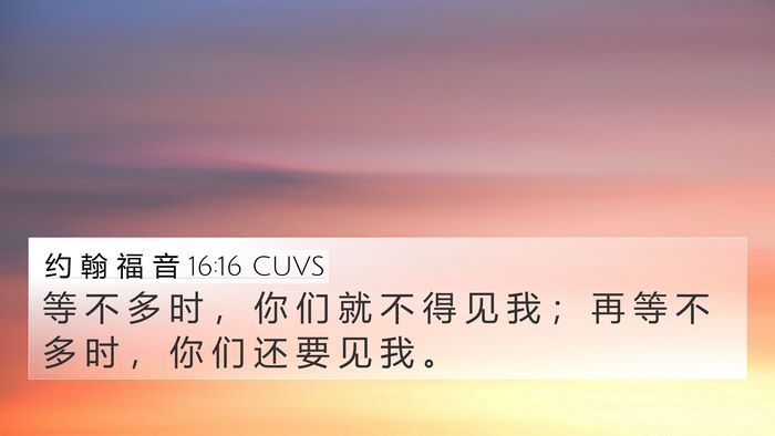 约 翰 福 音 16:16 CUVS Bible Verse Image