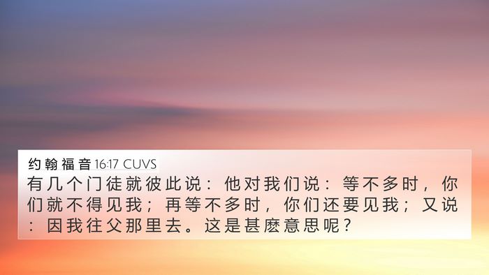 约 翰 福 音 16:17 CUVS Bible Verse Image
