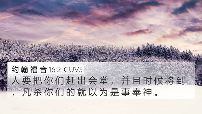 约 翰 福 音 16:2 CUVS Bible Verse Image