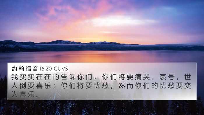 约 翰 福 音 16:20 CUVS Bible Verse Image