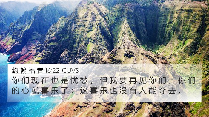 约 翰 福 音 16:22 CUVS Bible Verse Image