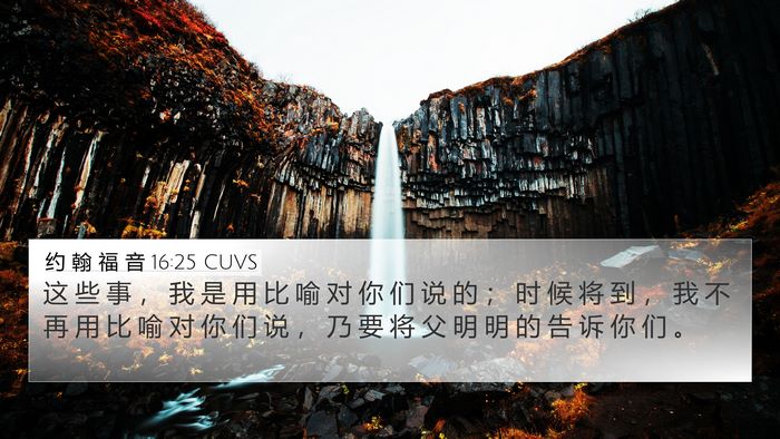 约 翰 福 音 16:25 CUVS Bible Verse Image