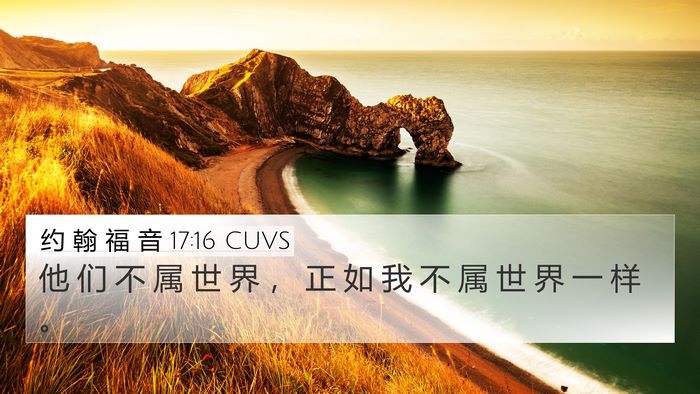 约 翰 福 音 17:16 CUVS Bible Verse Image