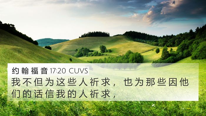 约 翰 福 音 17:20 CUVS Bible Verse Image