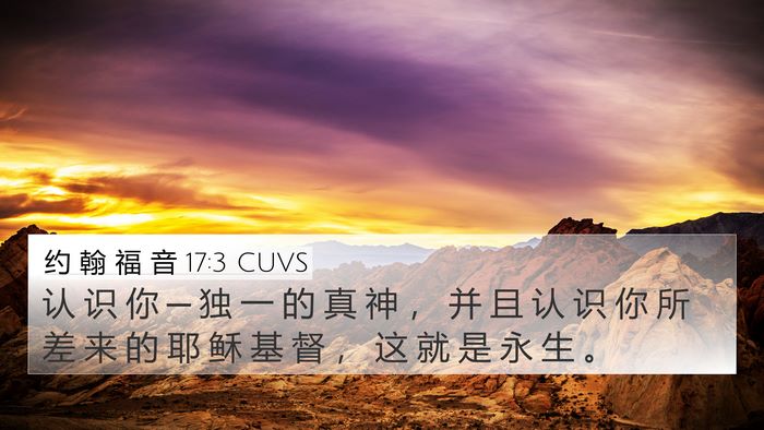 约 翰 福 音 17:3 CUVS Bible Verse Image
