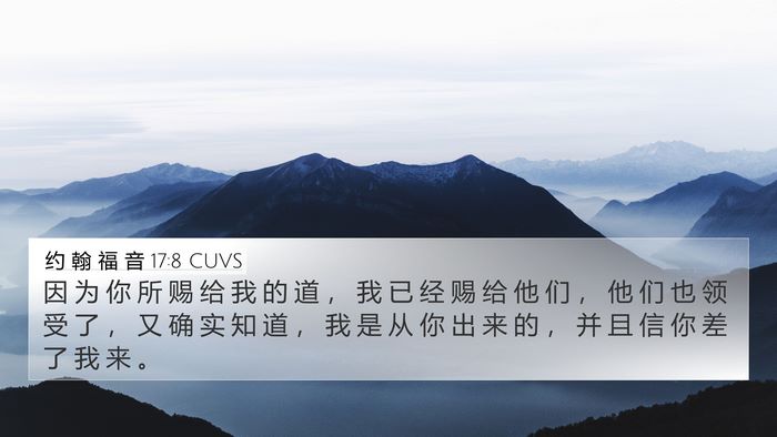约 翰 福 音 17:8 CUVS Bible Verse Image