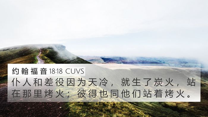 约 翰 福 音 18:18 CUVS Bible Verse Image
