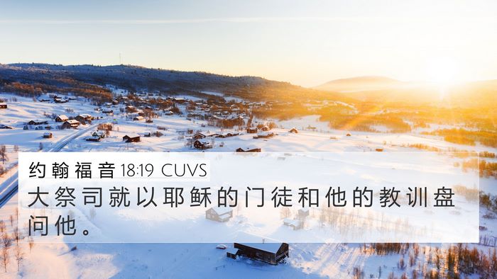 约 翰 福 音 18:19 CUVS Bible Verse Image