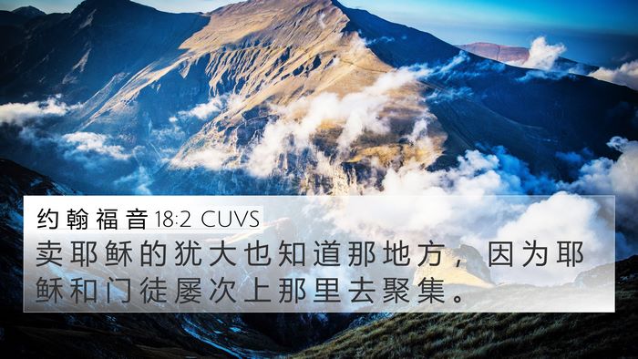 约 翰 福 音 18:2 CUVS Bible Verse Image