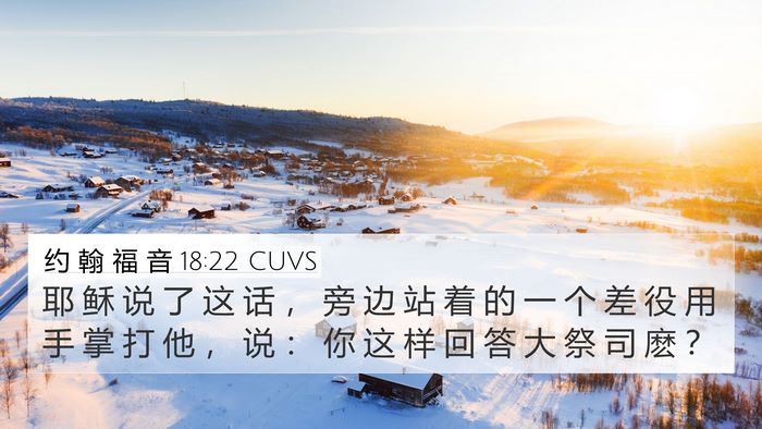 约 翰 福 音 18:22 CUVS Bible Verse Image