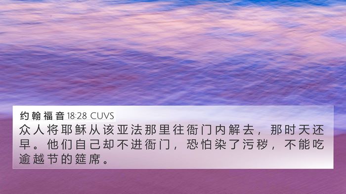 约 翰 福 音 18:28 CUVS Bible Verse Image