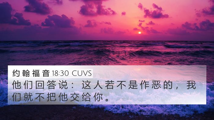约 翰 福 音 18:30 CUVS Bible Verse Image