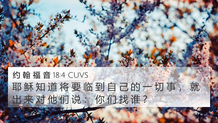 约 翰 福 音 18:4 CUVS Bible Verse Image