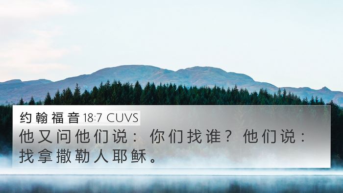 约 翰 福 音 18:7 CUVS Bible Verse Image