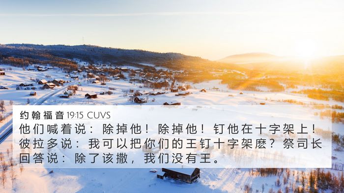 约 翰 福 音 19:15 CUVS Bible Verse Image