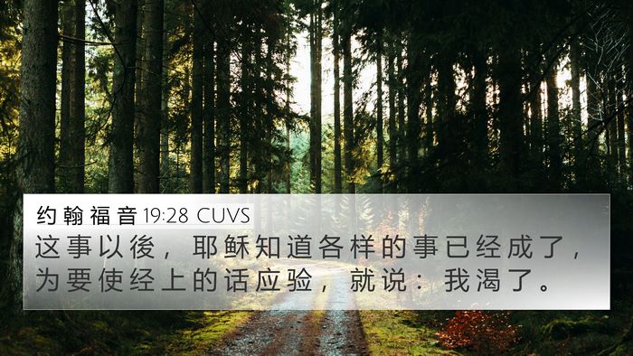 约 翰 福 音 19:28 CUVS Bible Verse Image