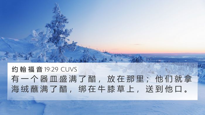约 翰 福 音 19:29 CUVS Bible Verse Image