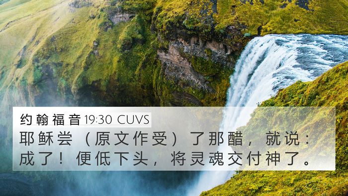 约 翰 福 音 19:30 CUVS Bible Verse Image