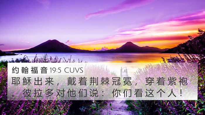 约 翰 福 音 19:5 CUVS Bible Verse Image