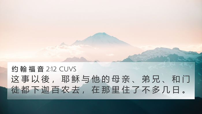 约 翰 福 音 2:12 CUVS Bible Verse Image