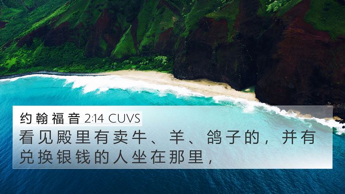 约 翰 福 音 2:14 CUVS Bible Verse Image