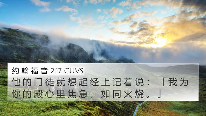 约 翰 福 音 2:17 CUVS Bible Verse Image