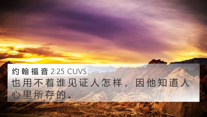约 翰 福 音 2:25 CUVS Bible Verse Image
