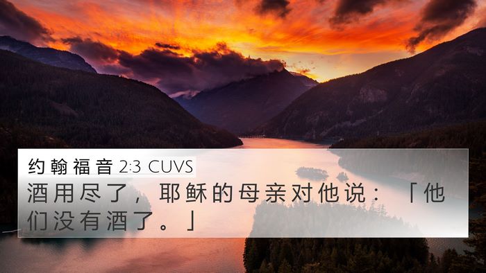 约 翰 福 音 2:3 CUVS Bible Verse Image
